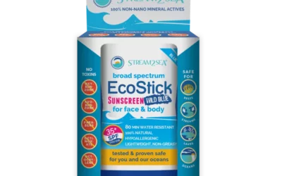 EcoStick Sunscreen Wild Blue