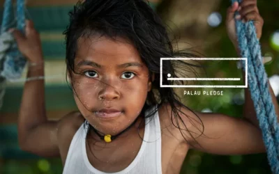 The First Country to Ban Reef-Toxic Sunscreens Selects Stream2Sea for Palau Pledge Campaign