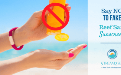 The Truth About Reef Safe Sunscreens