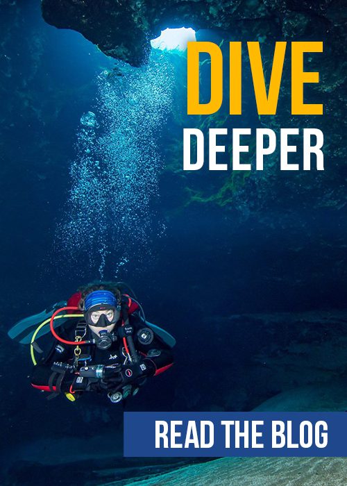 Dive Deeper Blog