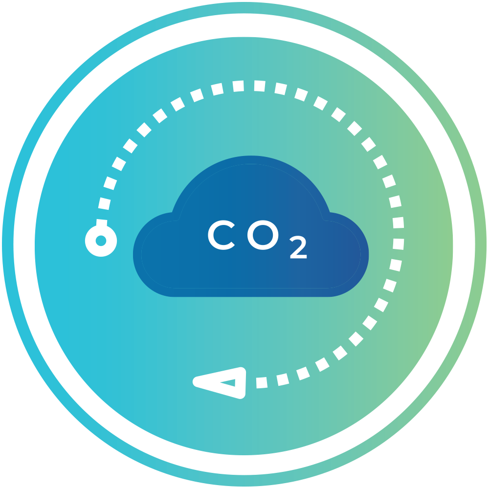 icon co2